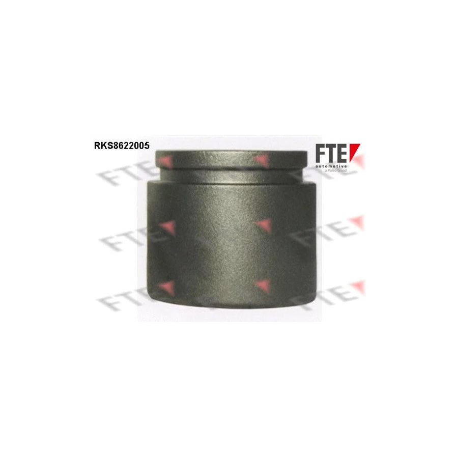 FTE Rks8622005 Piston, Brake Caliper