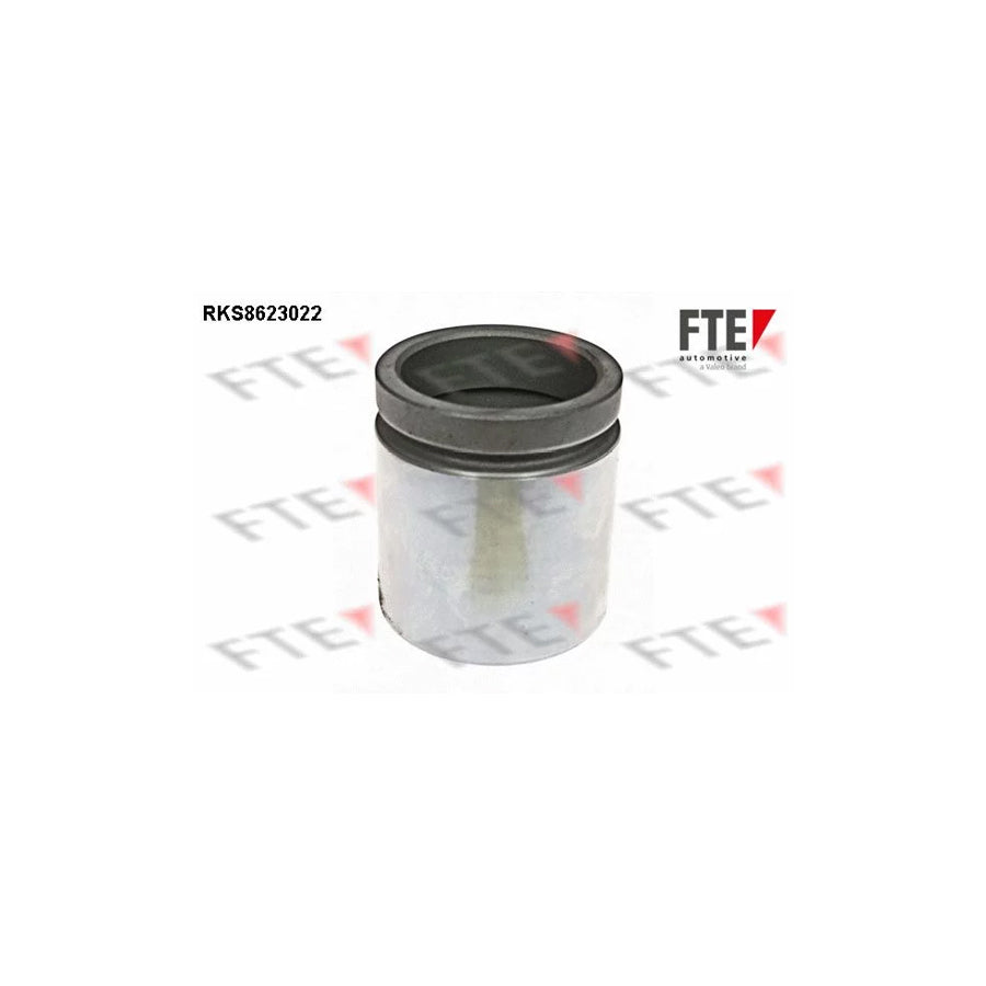 FTE Rks8623022 Piston, Brake Caliper for Fiat Punto
