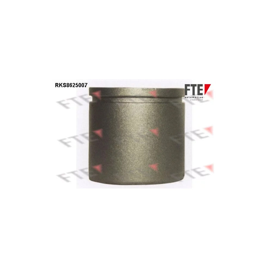 FTE Rks8625007 Piston, Brake Caliper