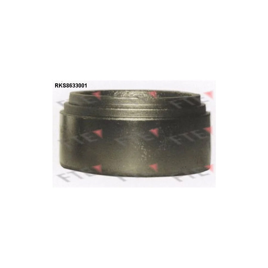 FTE Rks8633001 Piston, Brake Caliper