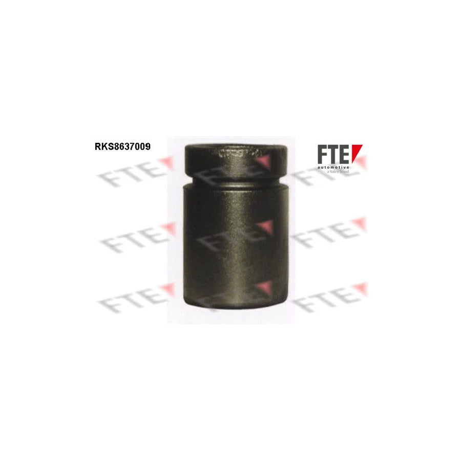 FTE Rks8637009 Piston, Brake Caliper