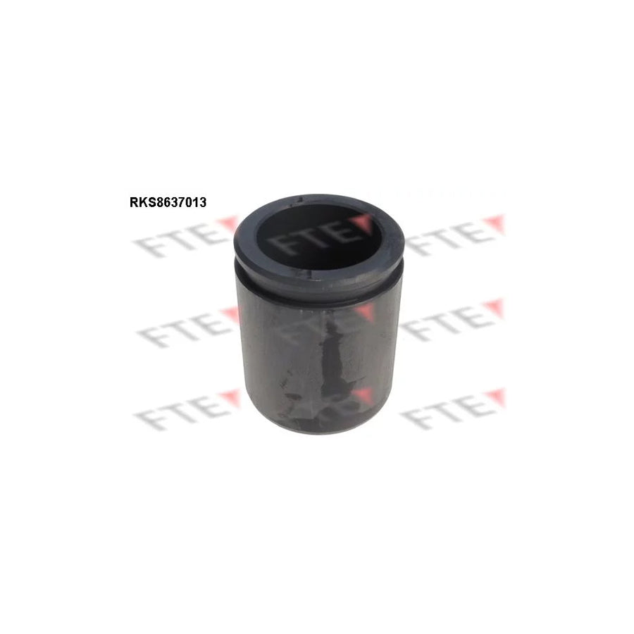 FTE Rks8637013 Piston, Brake Caliper