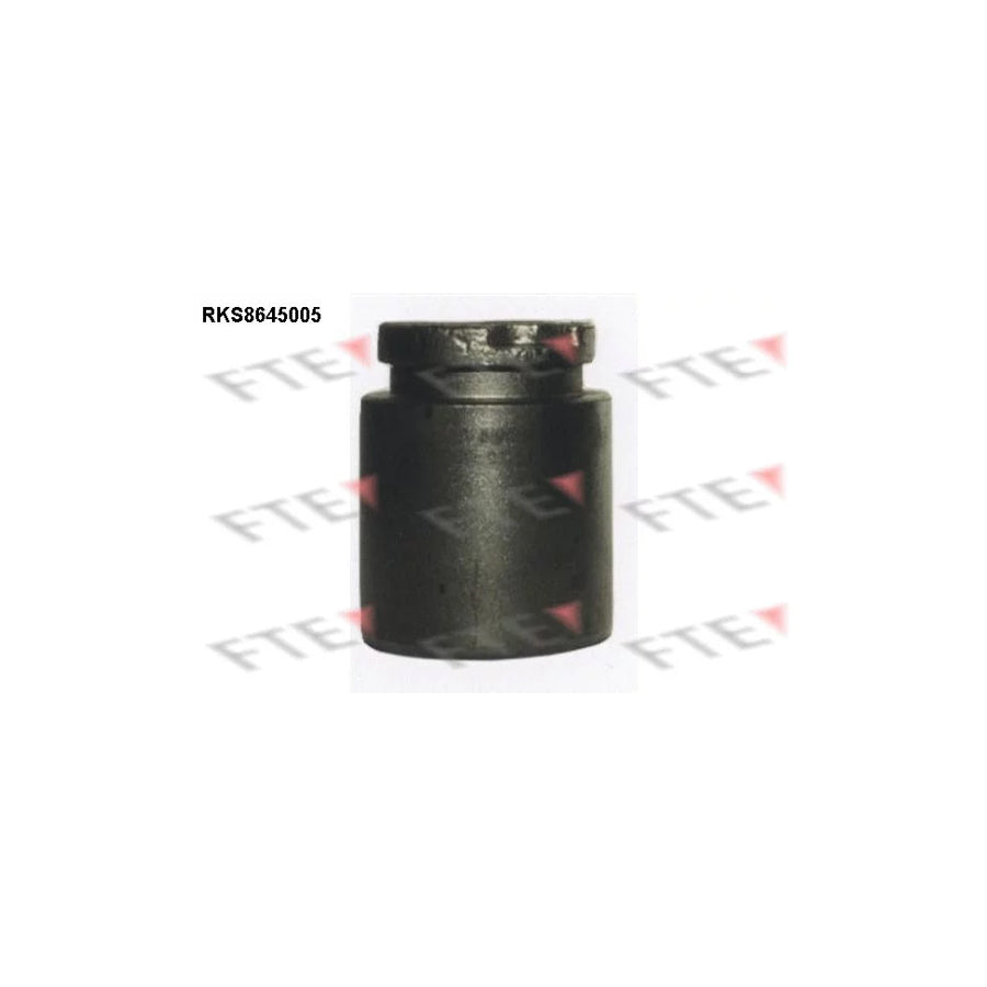 FTE Rks8645005 Piston, Brake Caliper