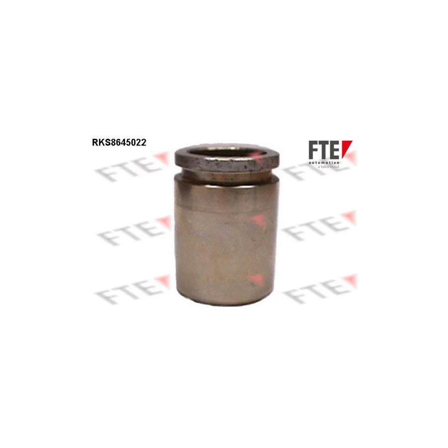 FTE Rks8645022 Piston, Brake Caliper for Toyota Camry II Saloon (V20)