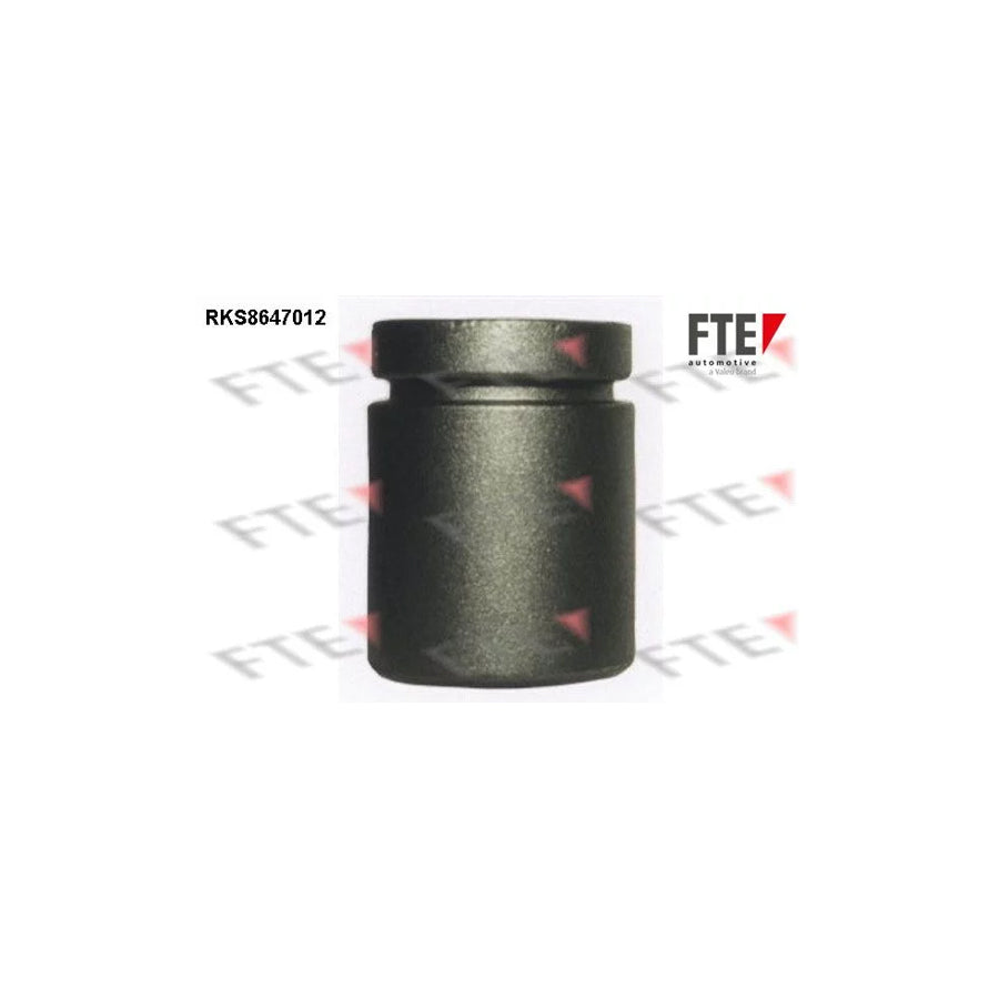 FTE Rks8647012 Piston, Brake Caliper