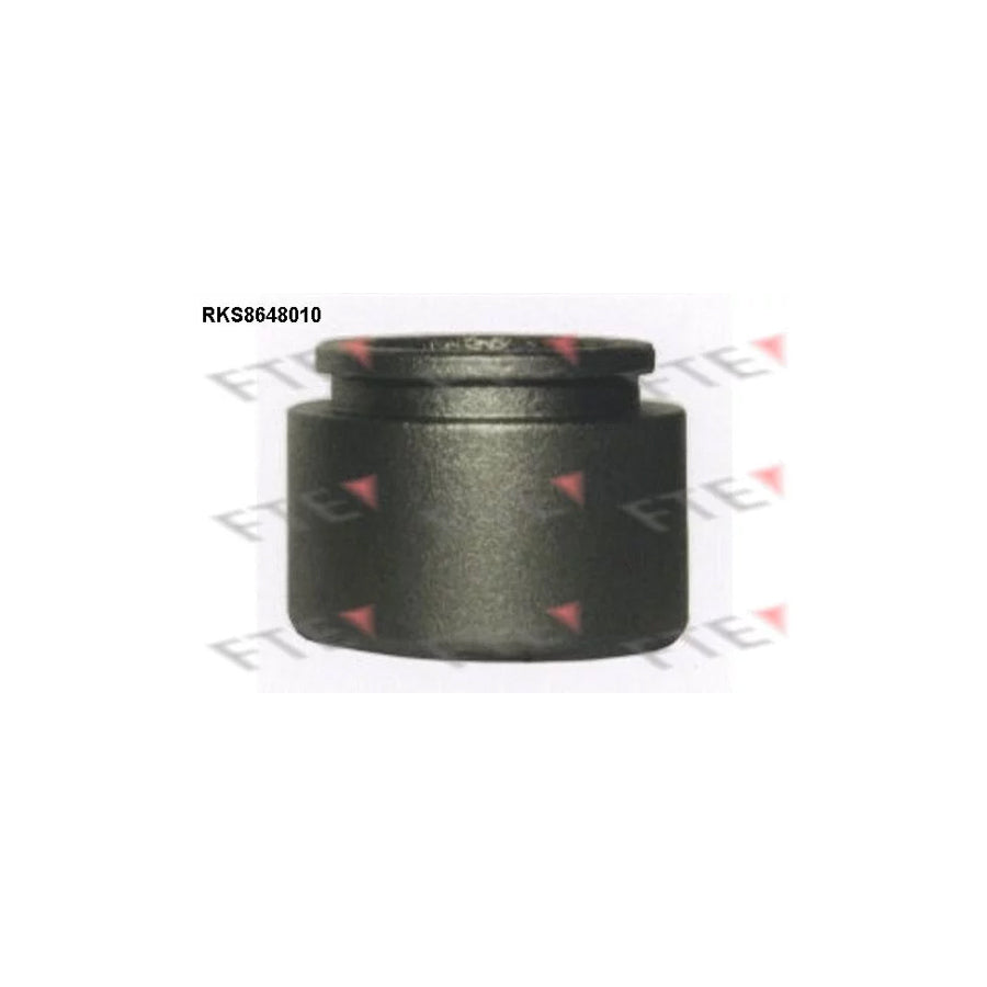 FTE Rks8648010 Piston, Brake Caliper