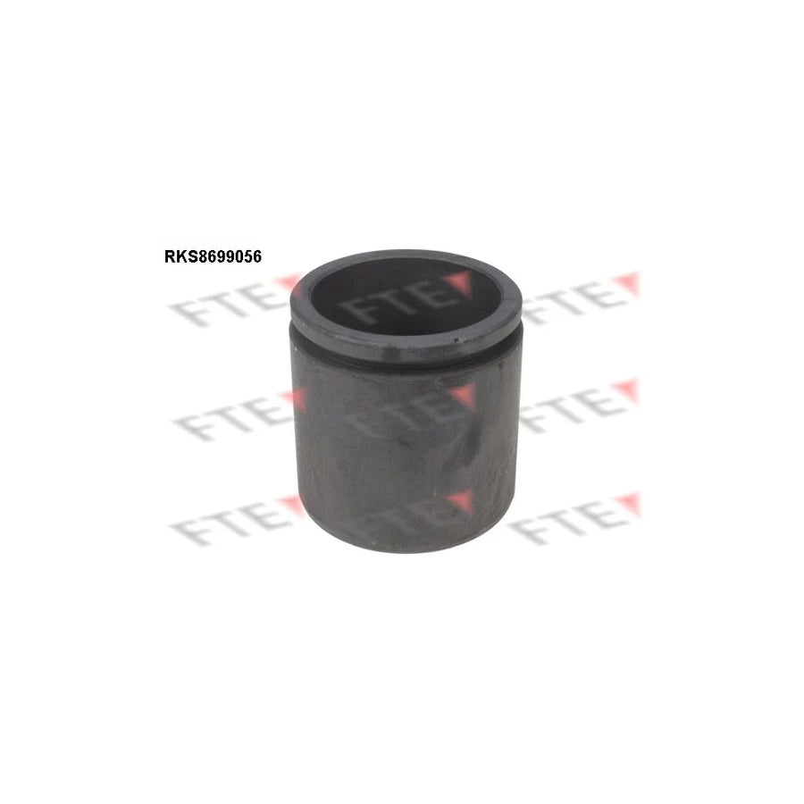 FTE Rks8699056 Piston, Brake Caliper