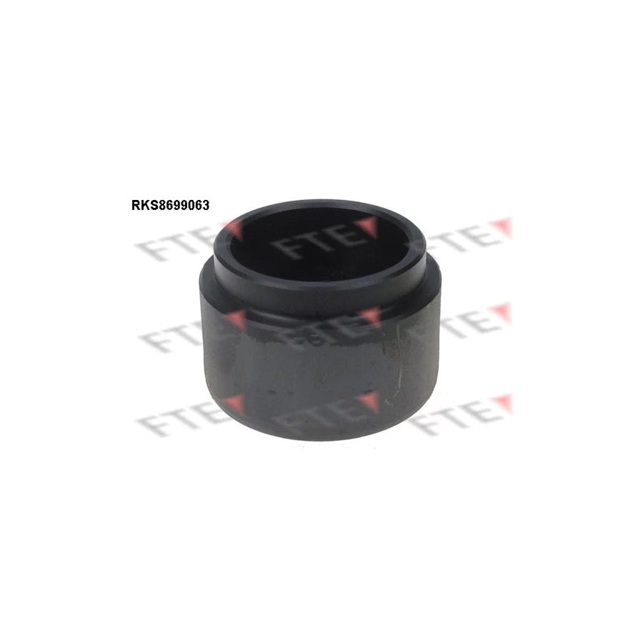 FTE Rks8699063 Piston, Brake Caliper