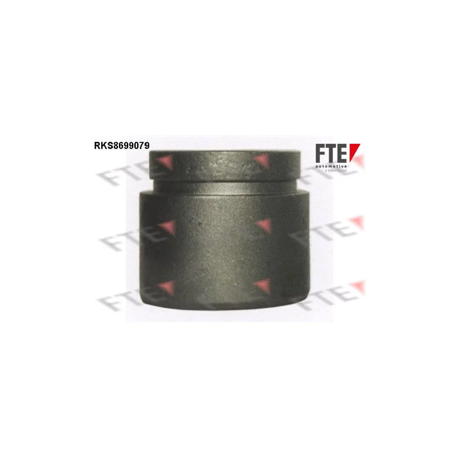 FTE Rks8699079 Piston, Brake Caliper