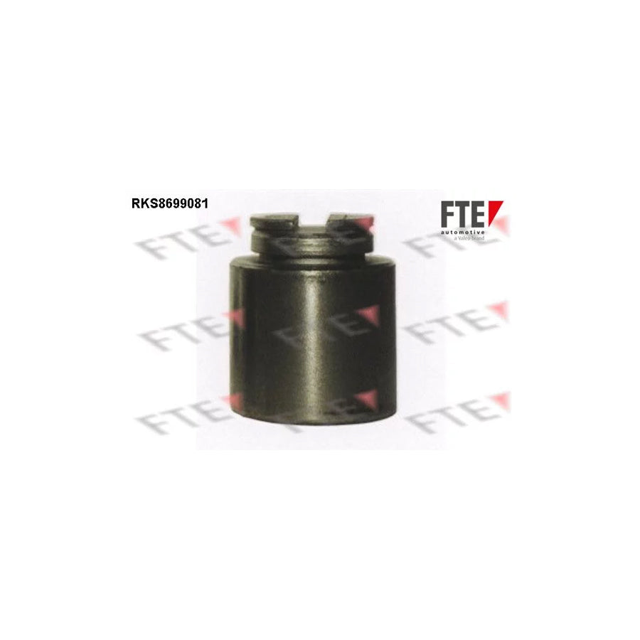 FTE Rks8699081 Piston, Brake Caliper