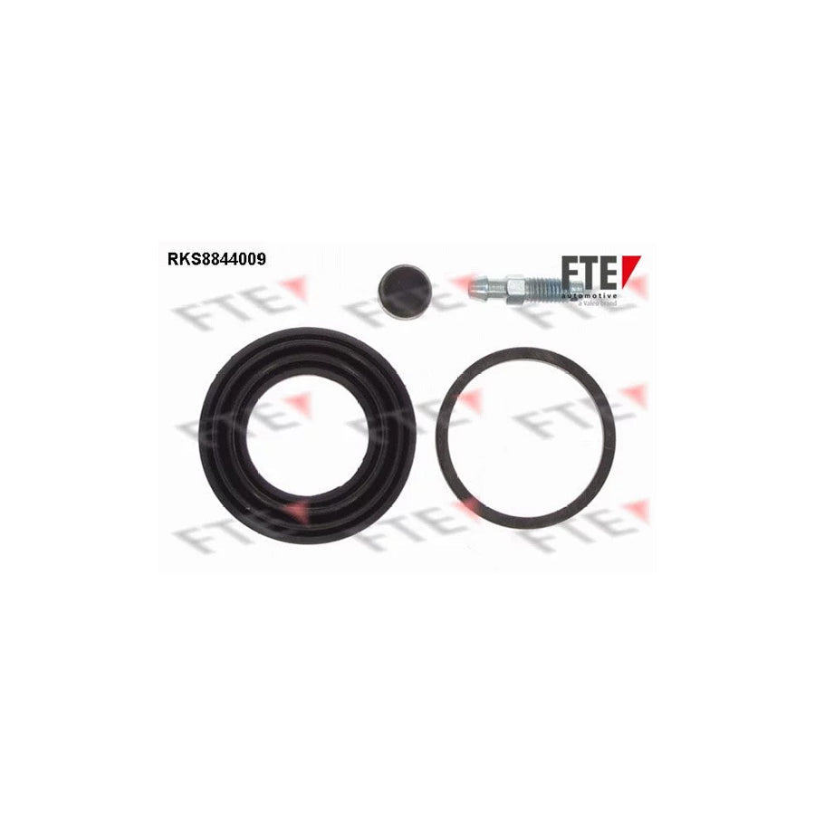 FTE Rks8844009 Repair Kit, Brake Caliper