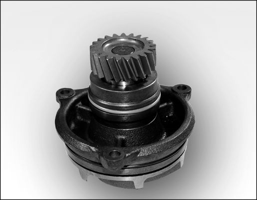 HEPU P1171 Water Pump