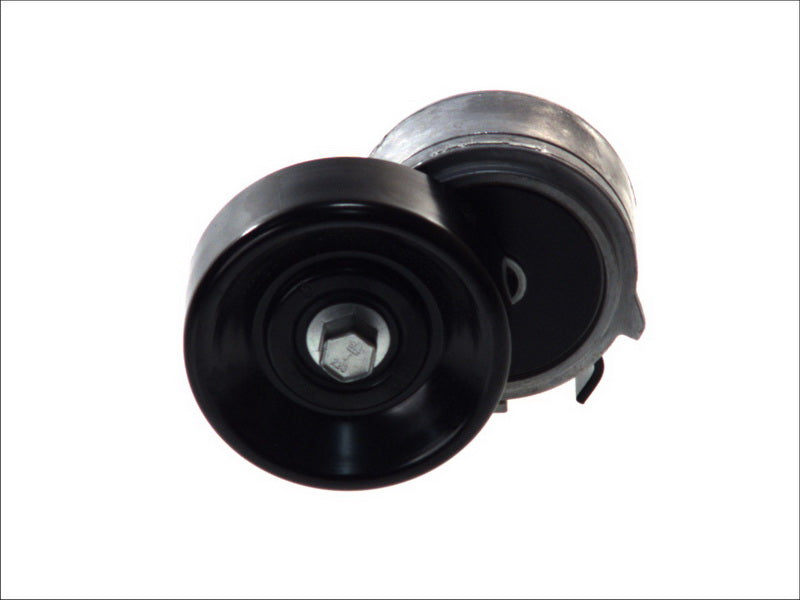 DAYCO DAYAPV2489 V-Ribbed Belt Tensioner Lever