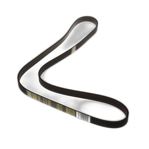 downloaded_images\genuine-ford-1141314-fiesta-fusion-drive-v-belt-1-1iww5S6J9tDkfkdl1ORwGtY2hoeyjnkIl_56303341-7a1f-4655-84ad-28eed1163e4a.jpg