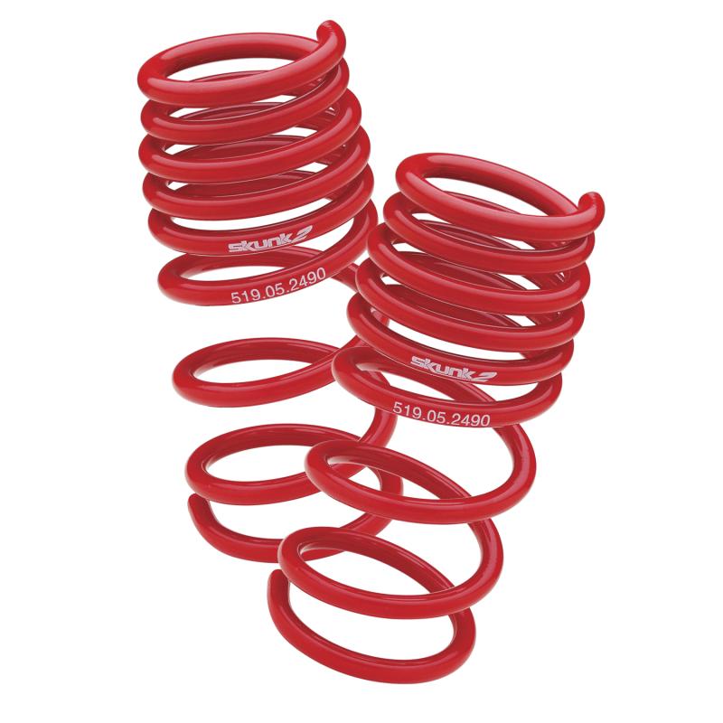 Skunk2 Racing Skunk2 94-01 Acura Integra Lowering Springs (2.50in - 2.25in.) (Set of 4)