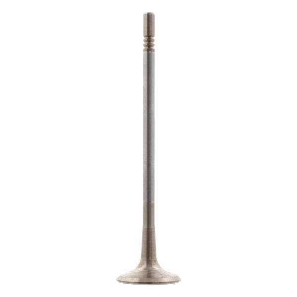 FEBI FE28643 Exhaust Valve