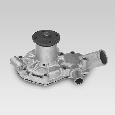 HEPU P858 Water Pump