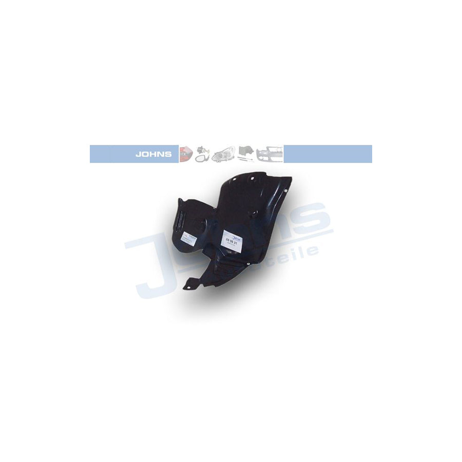 Johns 60 08 31 Panelling, Mudguard for RENAULT Clio II Hatchback (BB, CB)