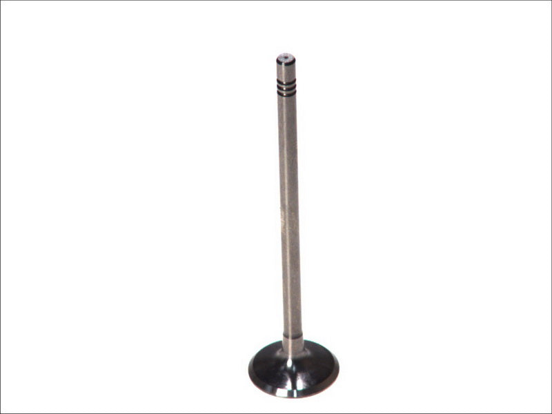 PARADOWSCY PREN070 Intake Valve
