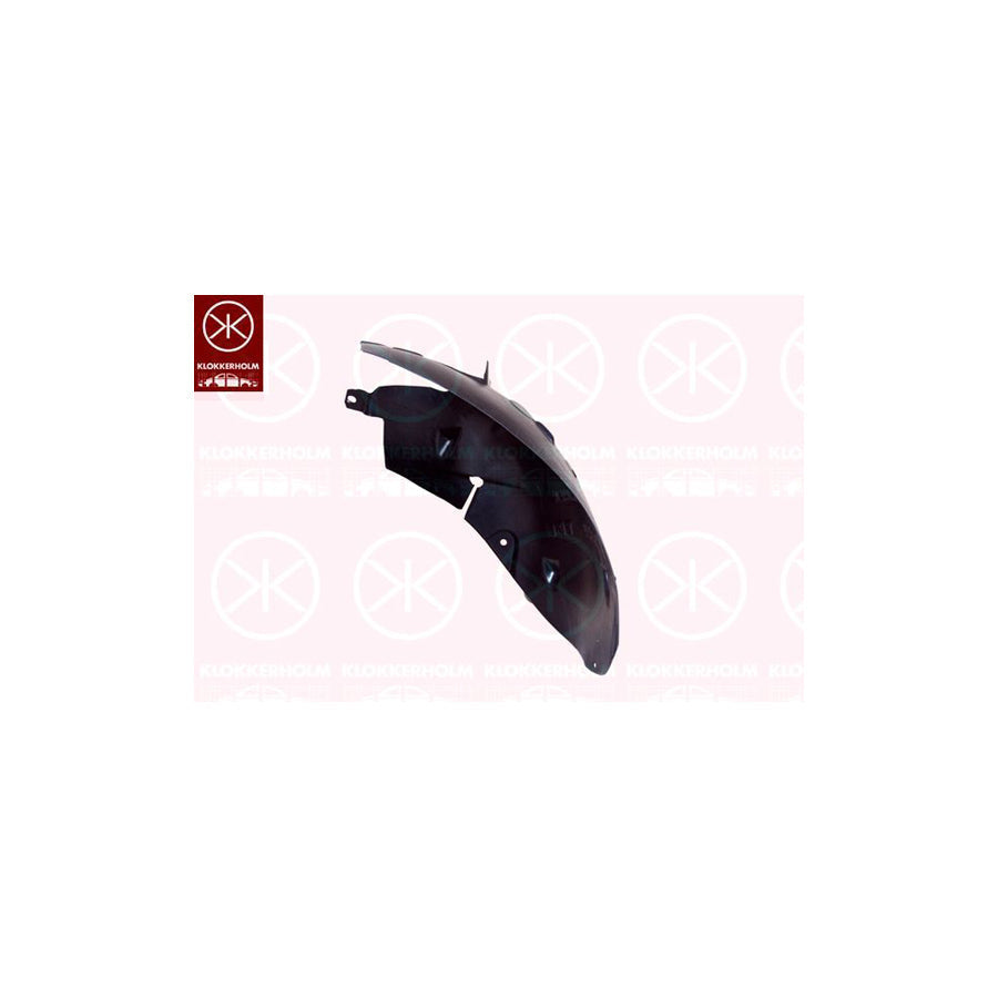Klokkerholm 6007388 Panelling, Mudguard for RENAULT Modus / Grand Modus (F, JP)
