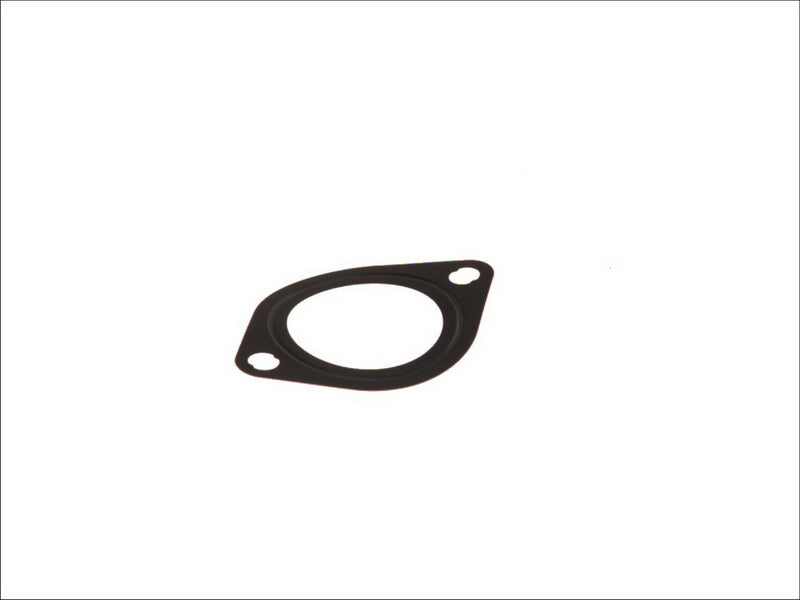 DT A/C 2.15902 Water Pump Gasket
