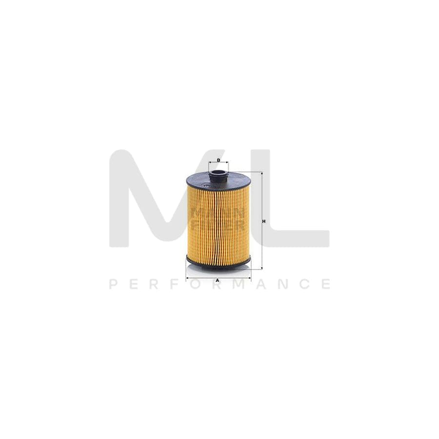 MANN-FILTER HU 8009 z Oil Filter with seal, Filter Insert
