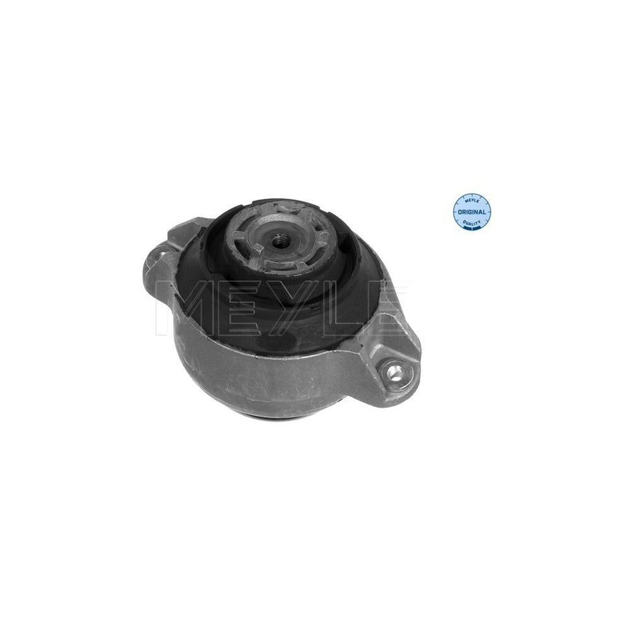 Meyle 014 024 9063 Engine Mount