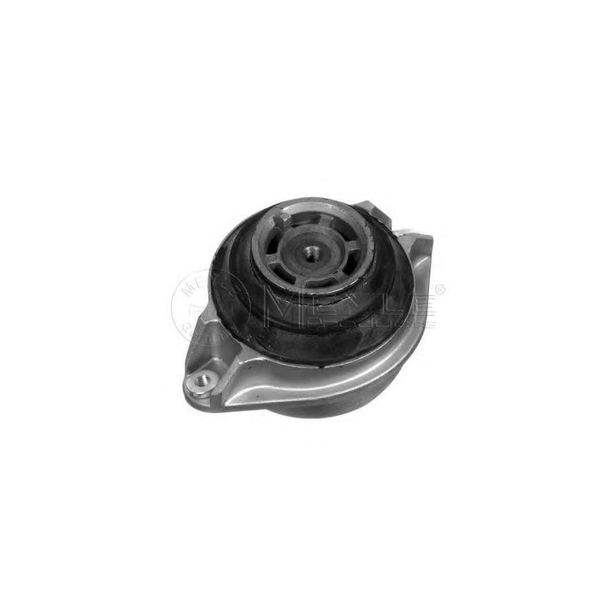 Meyle 014 024 9064 Engine Mount Suitable For Mercedes-Benz S-Class