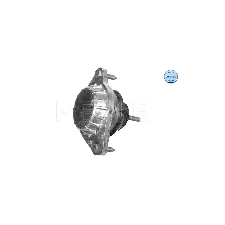 Meyle 100 199 0046 Engine Mount
