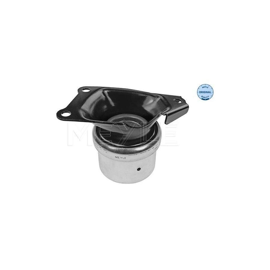 Meyle 100 199 0214 Engine Mount