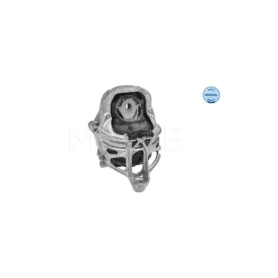 Meyle 100 199 1018 Engine Mount