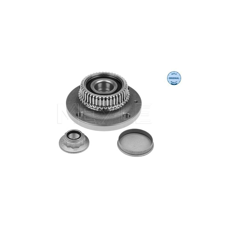 Meyle 100 752 0005 Wheel Bearing Kit