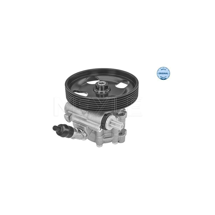 Meyle 11-14 631 0005 Power Steering Pump For Citroën C5