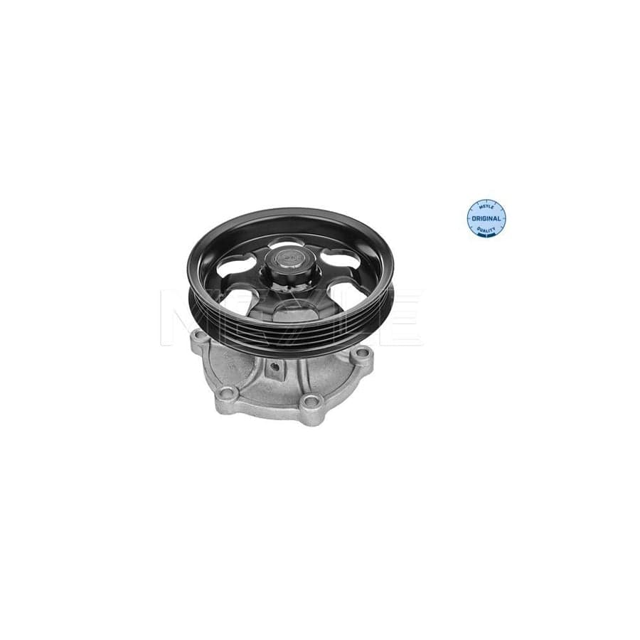 Meyle 30-13 161 0010 Water Pump