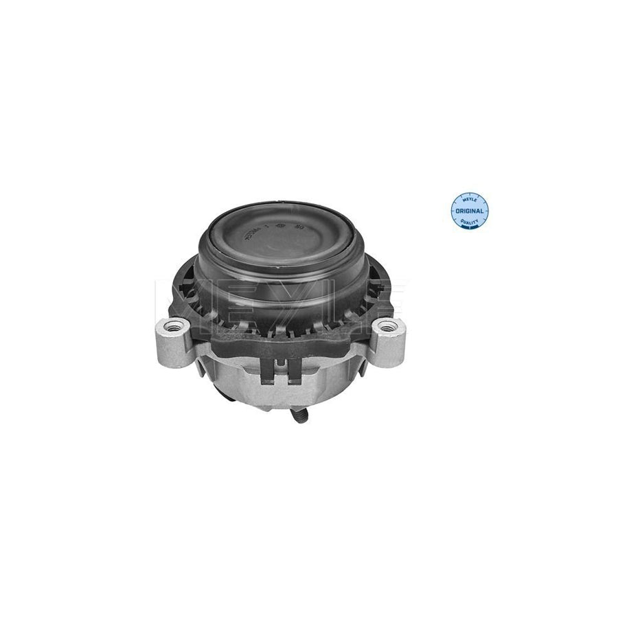 Meyle 300 221 2123 Engine Mount