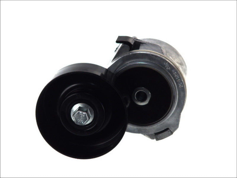 DAYCO DAYAPV2579 V-Ribbed Belt Tensioner Lever