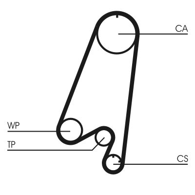 CONTITECH CT910WP1 Water Pump & Timing Belt Kit