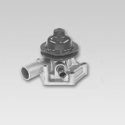 HEPU P7505 Water Pump