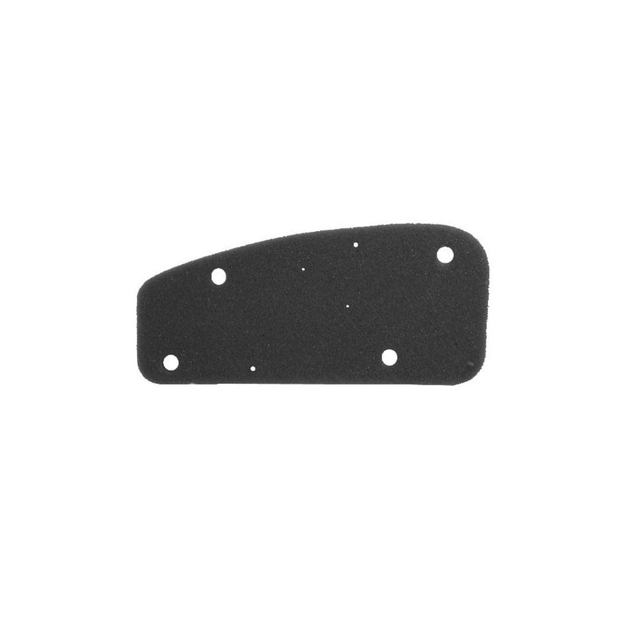 Rms 100600051 Air Filter