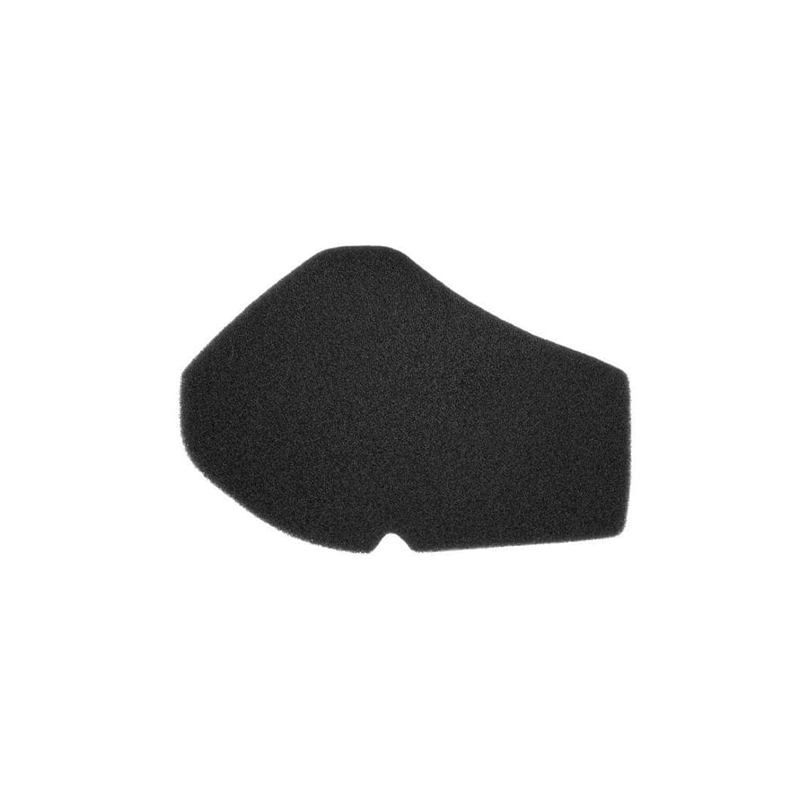 Rms 100601231 Air Filter