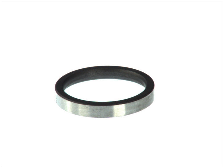 DT SPARE PARTS 3.12066 Valve Seat