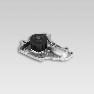 HEPU P7773 Water Pump