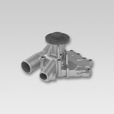 HEPU P736 Water Pump