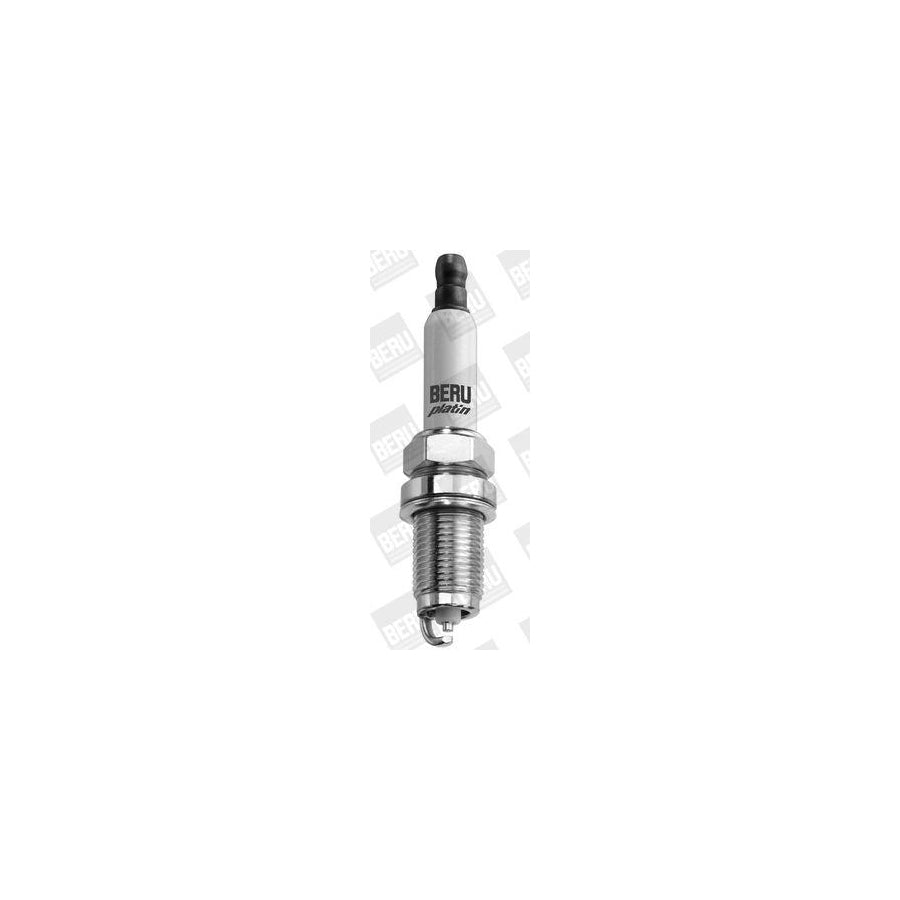 Spark Plug Beru Z317