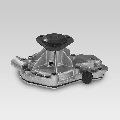 HEPU P840 Water Pump