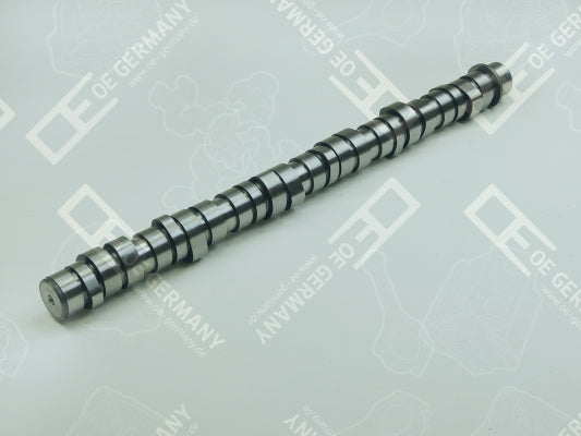 OE GERMANY 030500D13A02 Camshaft