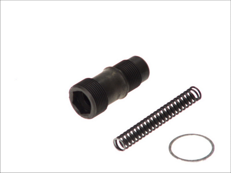 SWAG SW10101400 Timing Chain Tensioner