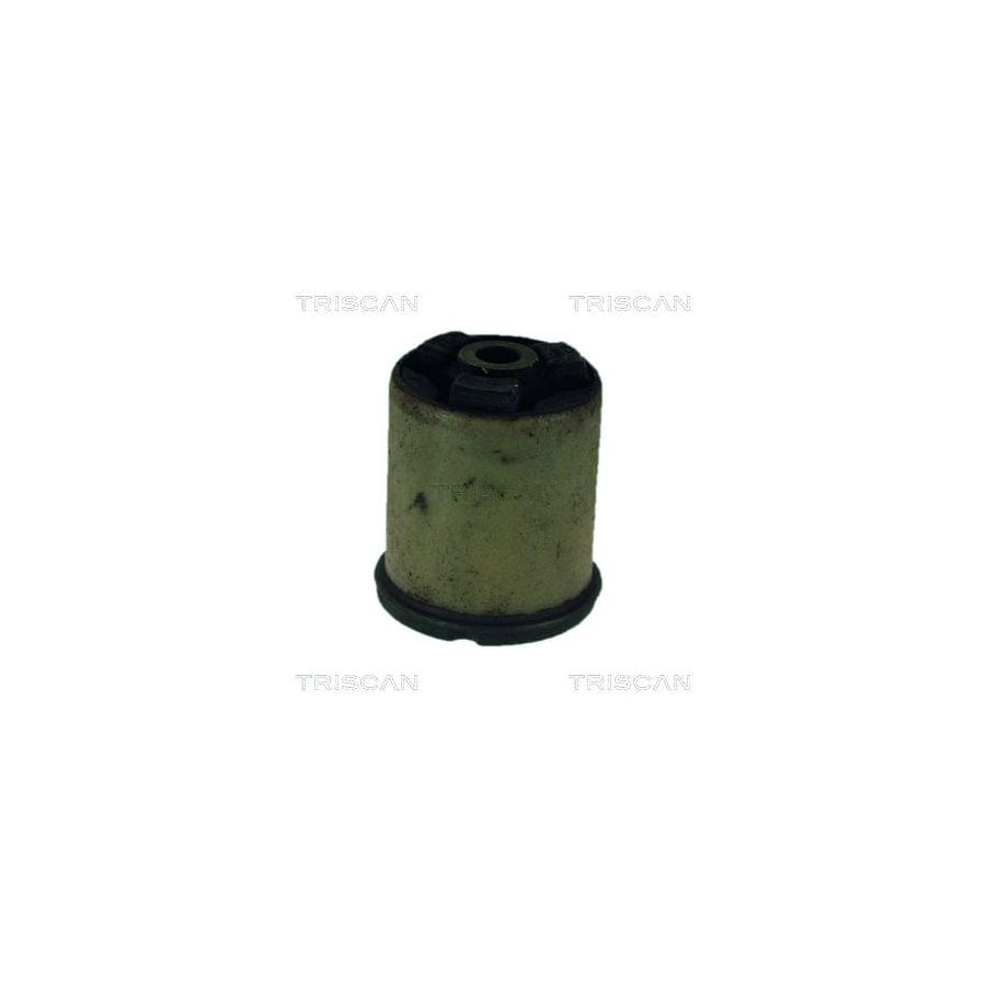 Triscan 8500 24821 Axle Bush