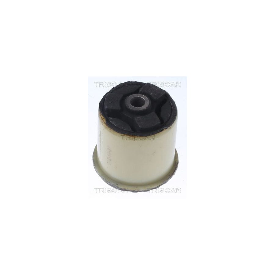 Triscan 8500 24885 Axle Bush