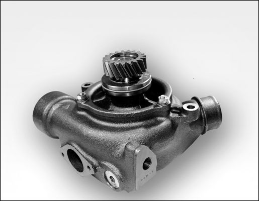 HEPU P1185 Water Pump